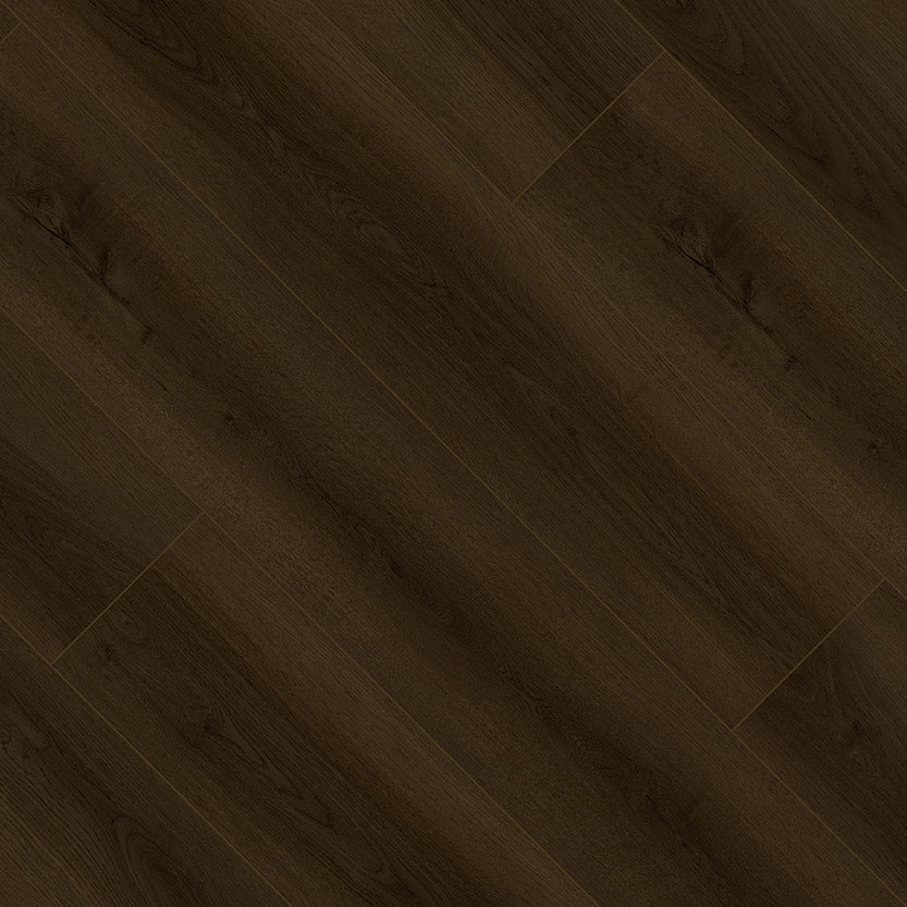 LV55686